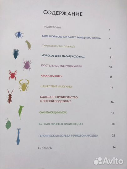 Живой мир под микроскопом, большой формат