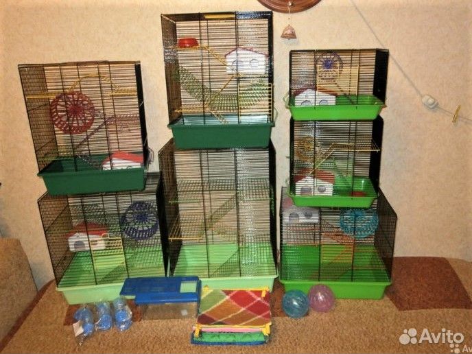 Клетки, хомяки, крысы, дегу, мыши