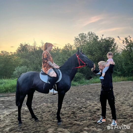 Конные прогулки по роще, тренировки, фото