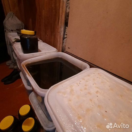 Продаём мёд гречневый