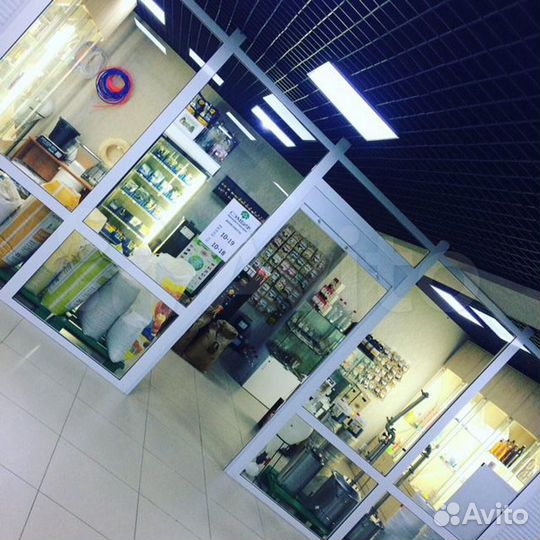 Спиртовые дрожжи