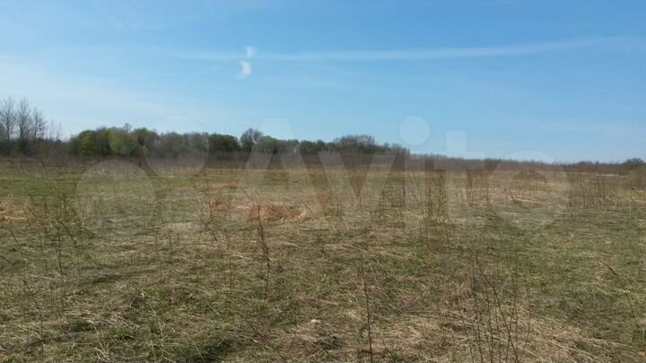 Участок 20 га (СНТ, ДНП)