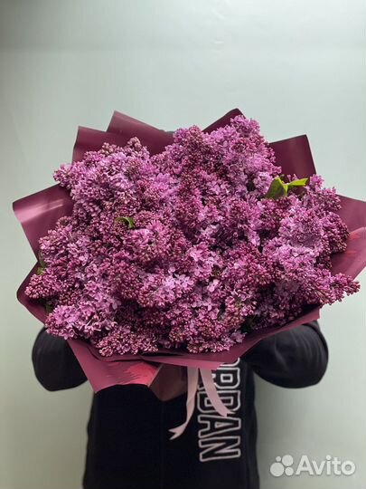 Сирень букет оптом