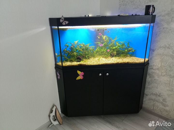 Аквариум 160 литров