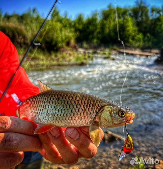 Воблер Jackall Egg Nuts