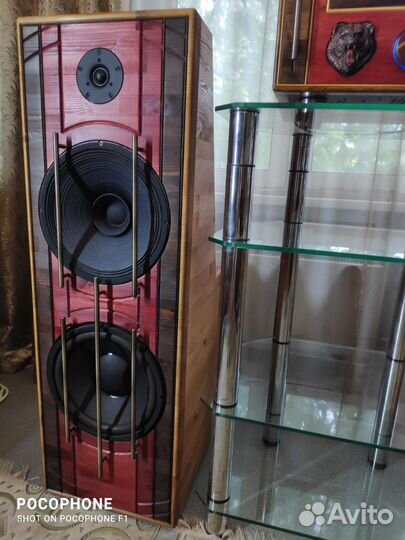 Акустика 3-ампинг, авторское исполнение. Усилитель