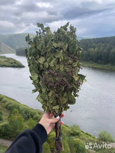 Березовый веник для бани