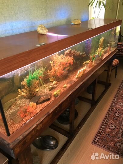 Аквариум босу в кабинет 520л равных нет