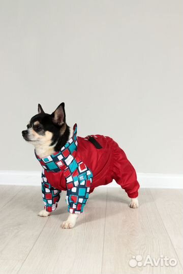 Одежда для собак