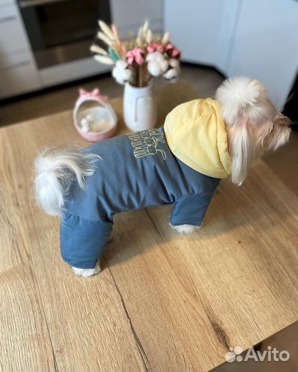 Демисезонные комбинезоны для собак (L-XXL)