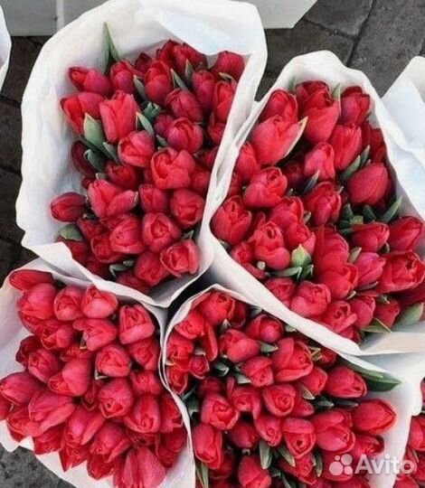 Тюльпаны букет доставка