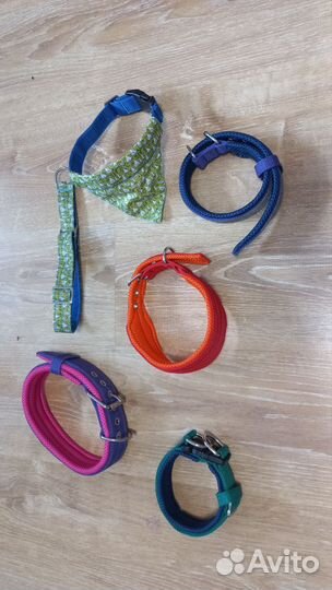 Одежда для собак