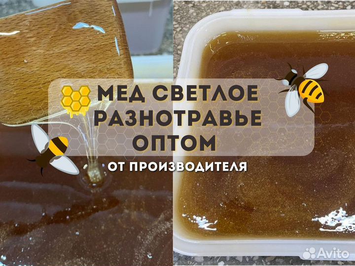 Свежий мед оптом светлое разнотравье