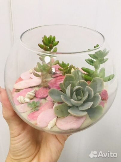 Подарок флорариум