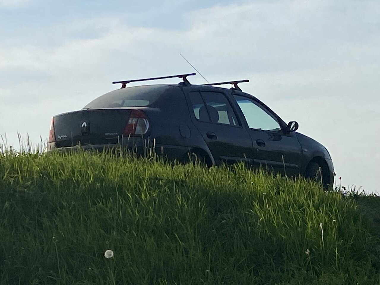 Renault Symbol: фото владельца