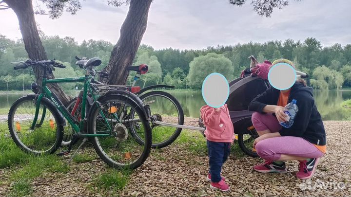 Велоприцеп для катаний с ребенком