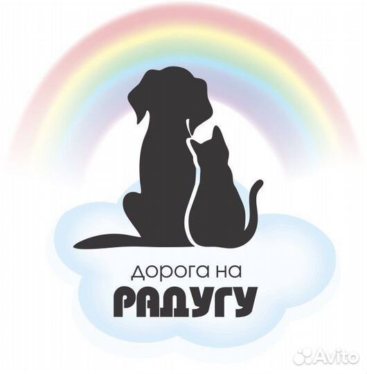 Кремация домашних животных