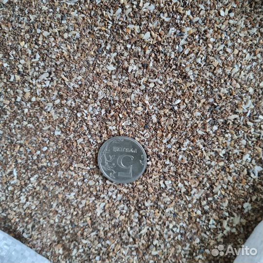 Ракушка для птицы каспийская в Незнамово