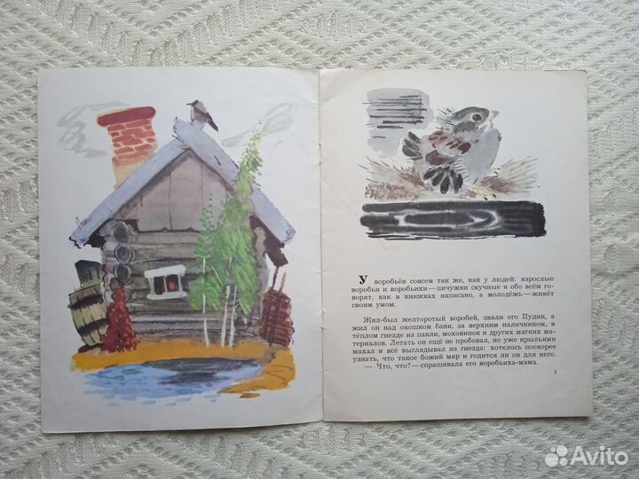 Горький Воробьишко 1985 Библиотека детского сада