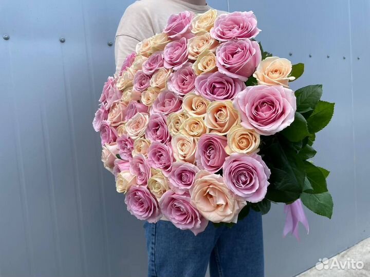 Букет свежих голландских роз 51 шт