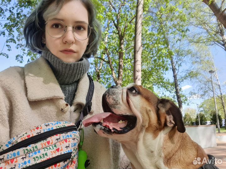 Выгул собак, догситтер, зооняня