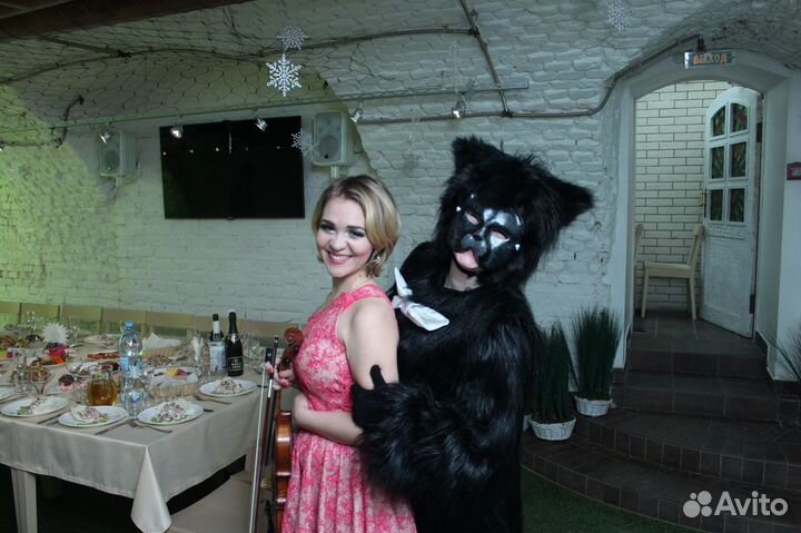 Скрипка, элетроскрипка на свадьбу, корпоратив