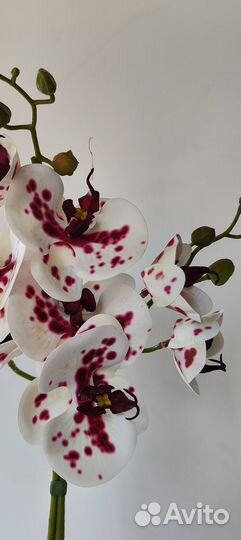 Орхидея искуственная (премиум класса)