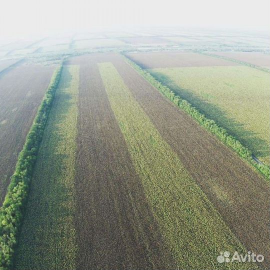 Обработка полей дронами