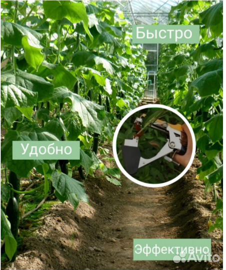 Тапенер для подвязки растений