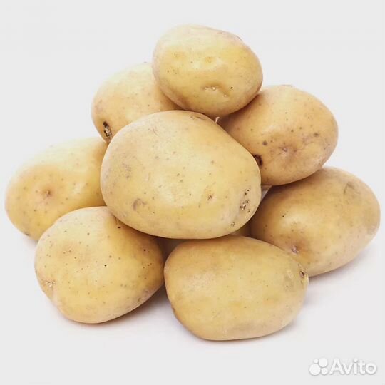 Картофель