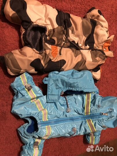 Одежда для собак мелких пород