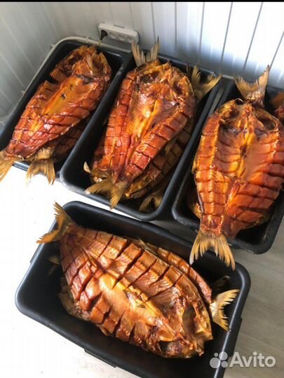 Рыба карась,карп,воблаЖивая рыба, вяленая,Копченая