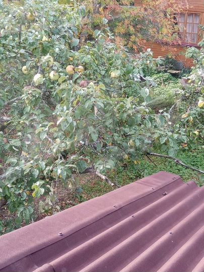 Дача 33 м² на участке 6 сот.