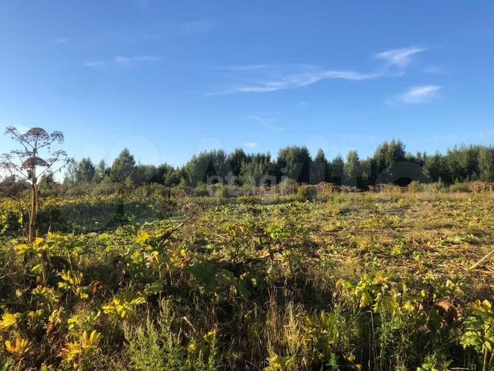 Участок 10 сот. (ИЖС)