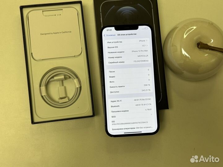 iPhone 12 Pro Max, 256 ГБ