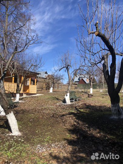 Спил деревьев