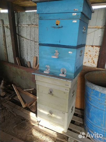 Ульи дадан на 12 рамок