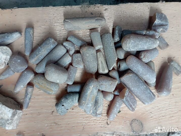 Белемниты чертовы пальцы