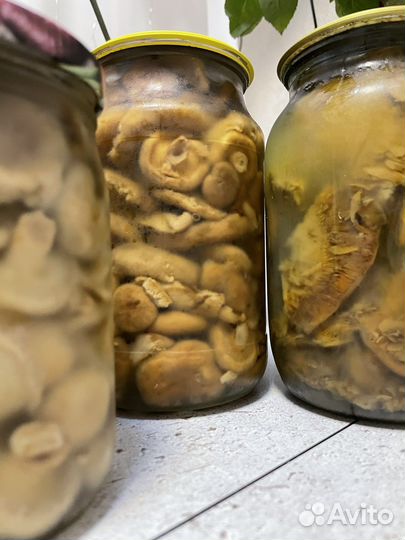 Грибы маринованные