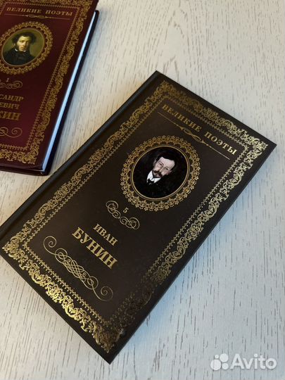 Пушкин Бунин