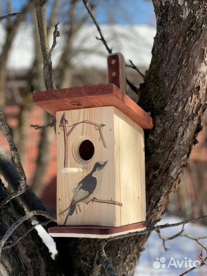Сквореничк, кормушка, бельчатник