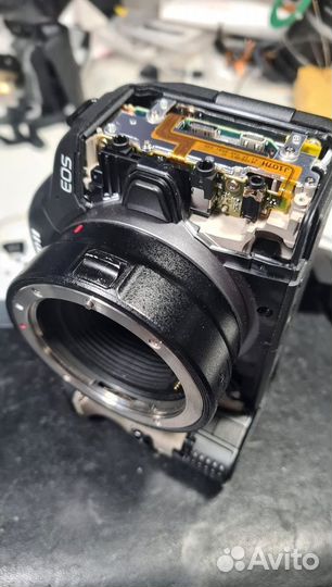 Ремонт фотоаппаратов и видеотехники: качественно