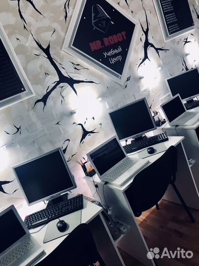 Обучение веб-программированию с нуля