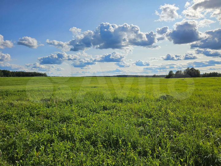 Участок 100 сот. (ИЖС)