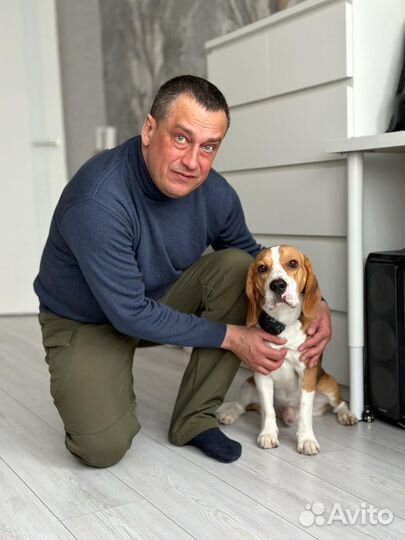 Кинолог-зоопсихолог