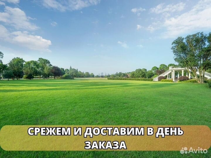 Укладка газона