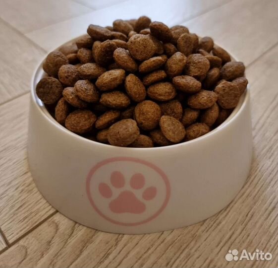 Сухой корм для собак и кошек на развес