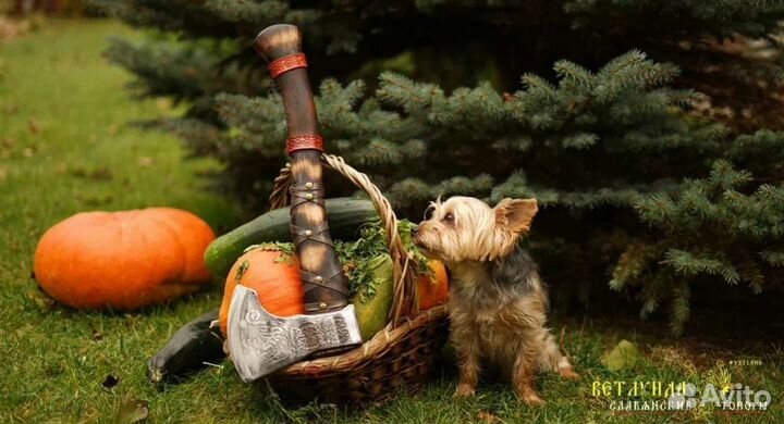 Топор кованый Кельтский волк (тисненая рукоять)