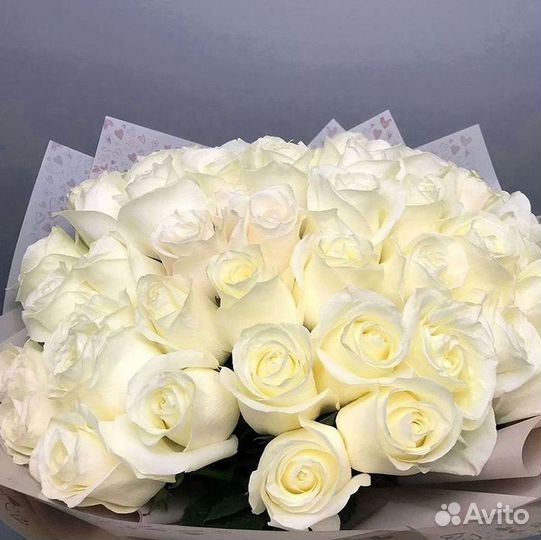 Розы Букеты Цветы Розы 31 101 151 201 Доставка