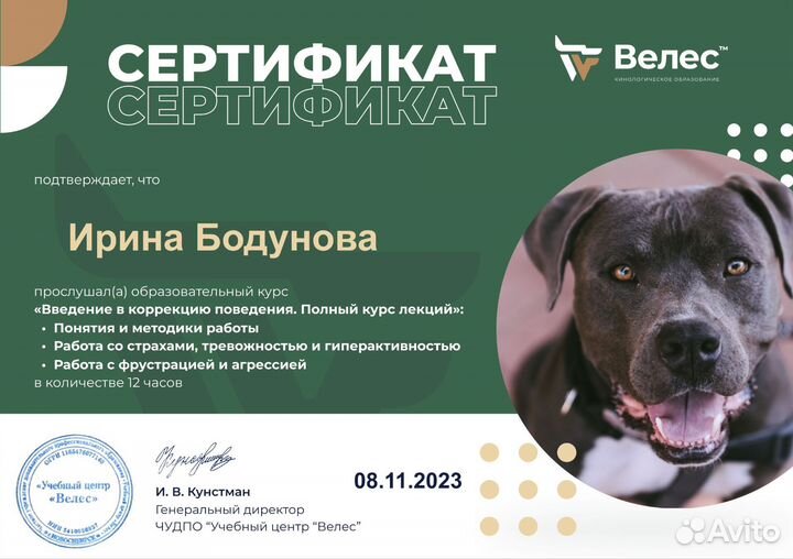 Кинолог зоопсихолог